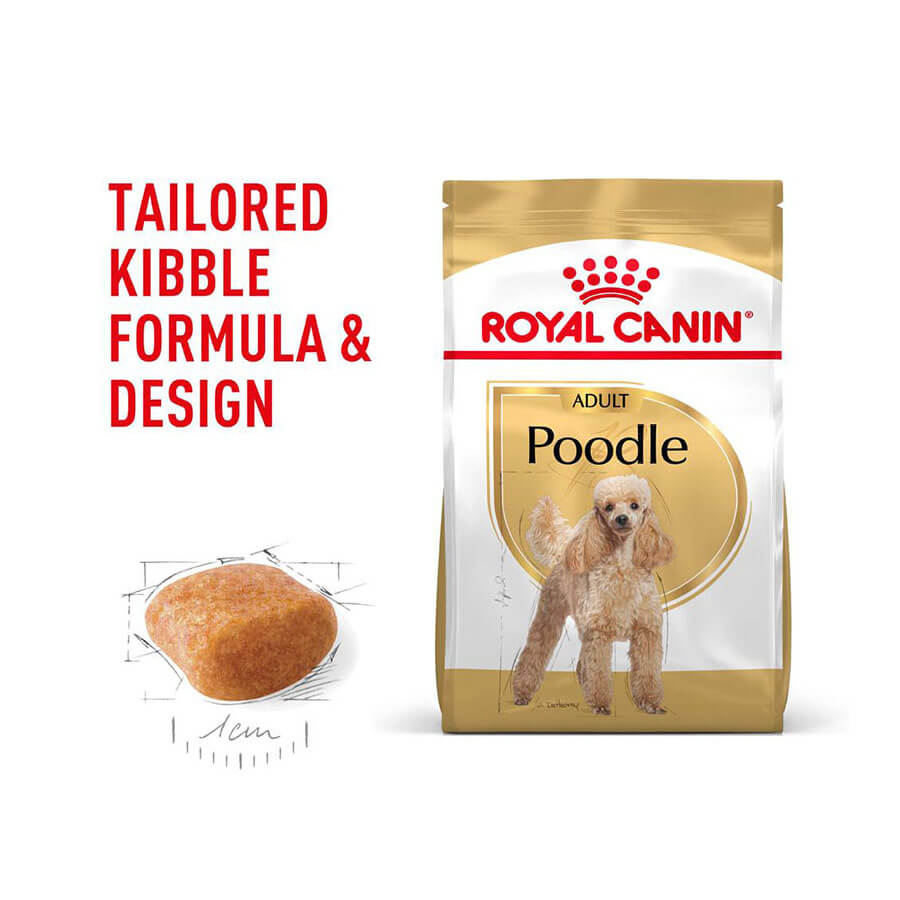 Royal Canin Poodle Adult Dry Dog Food - ZenoPets